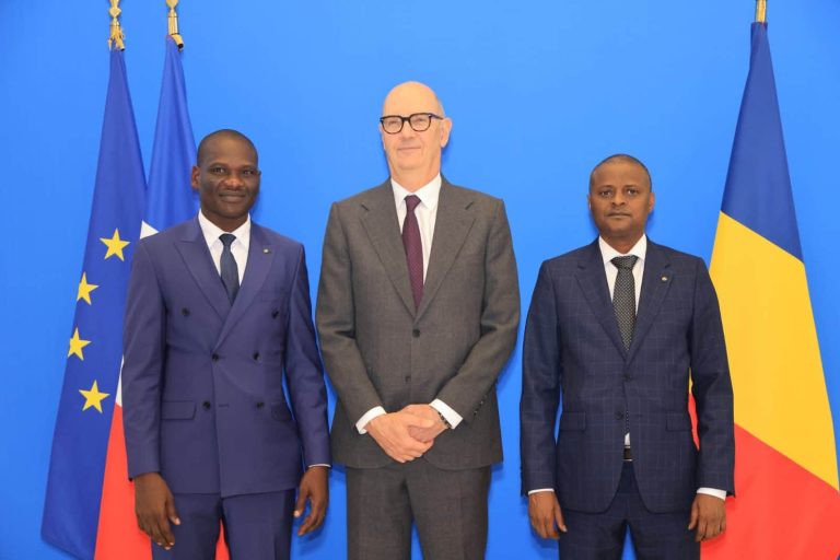 France–Tchad : séance de travail entre Tahir Hamid Nguilin et Roland Lescure
