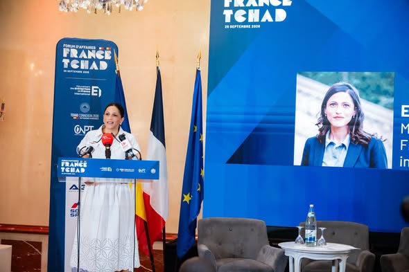 L’investissement au cœur du dialogue économique entre la France et le Tchad.